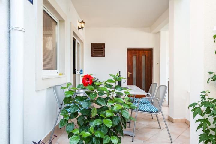 Apartments Nina M Baška Voda Extérieur photo